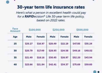 Term Life Insurance Rates