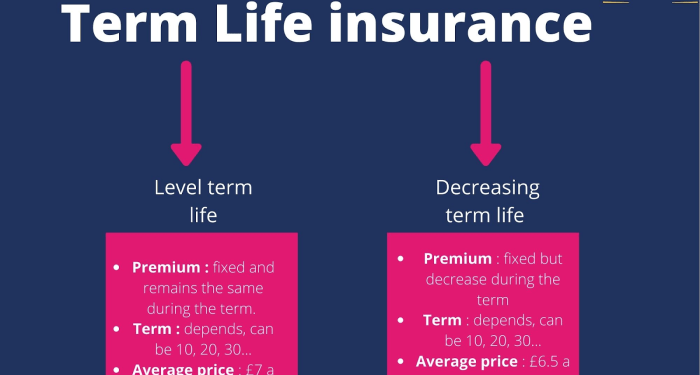 Types of Term Life Insurance Policies: Everything You Need to Know ...