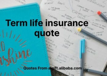 Term Life Insurance Explained - Partners Insurance, Inc.