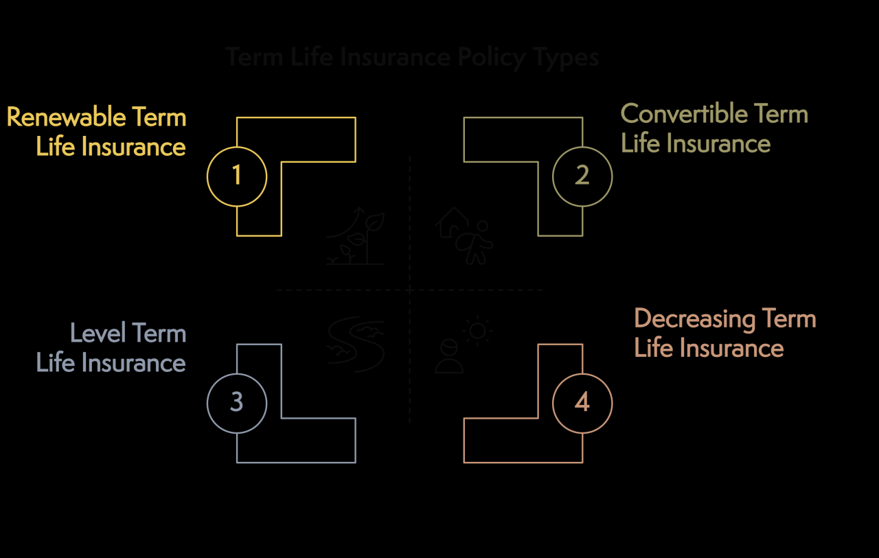 What Is Term Life Insurance: How It Works, Costs, and Benefits - Everly ...